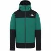 Vestes De Ski THE NORTH FACE M MOUNTAIN LIGHT FL TRICLIMATE JKT EVERGRN/TNFBLK/TNFDKGYHTR 21 Noir / Vert -Vêtements hiver Homme Soldes 9 97739 m mountain light fl triclimate jkt evergrn tnfblk tnfdkgyhtr nf0a4r2iw641 01